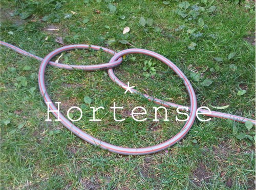 hortense
